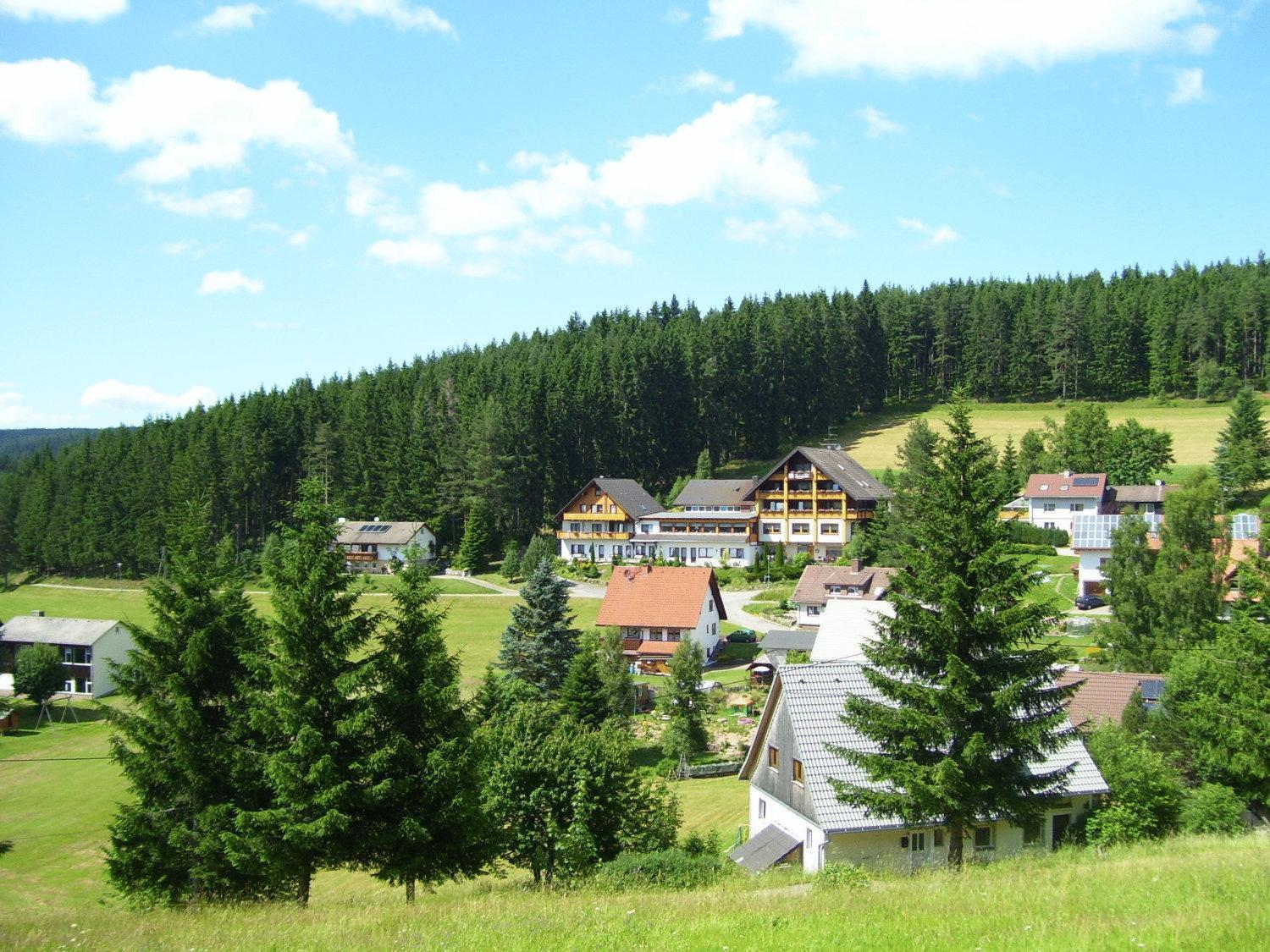 Auerhahn Bed And Breakfast - Black Forest - Waldhotel Eisenbach  Dış mekan fotoğraf