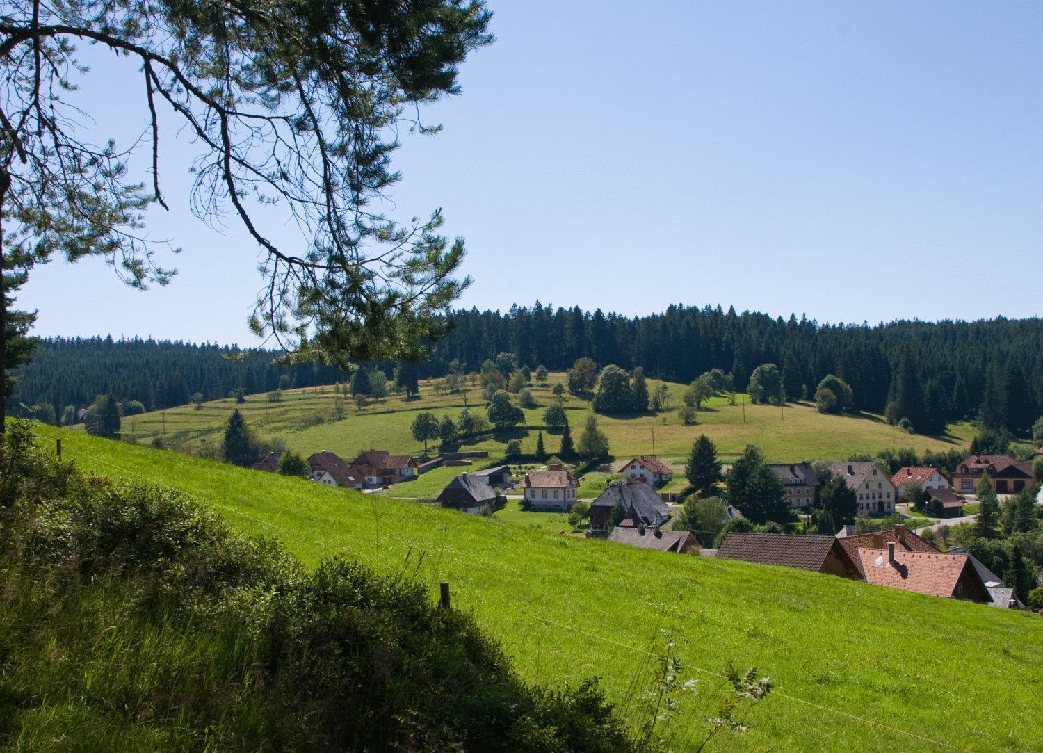 Auerhahn Bed And Breakfast - Black Forest - Waldhotel Eisenbach  Dış mekan fotoğraf