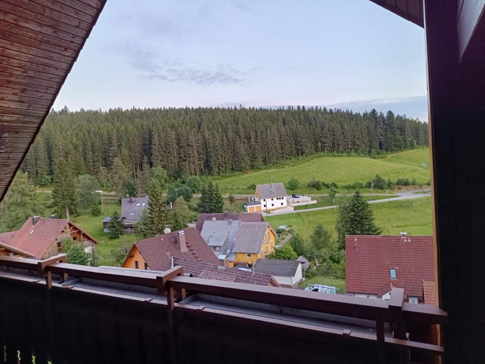 Auerhahn Bed And Breakfast - Black Forest - Waldhotel Eisenbach  Dış mekan fotoğraf