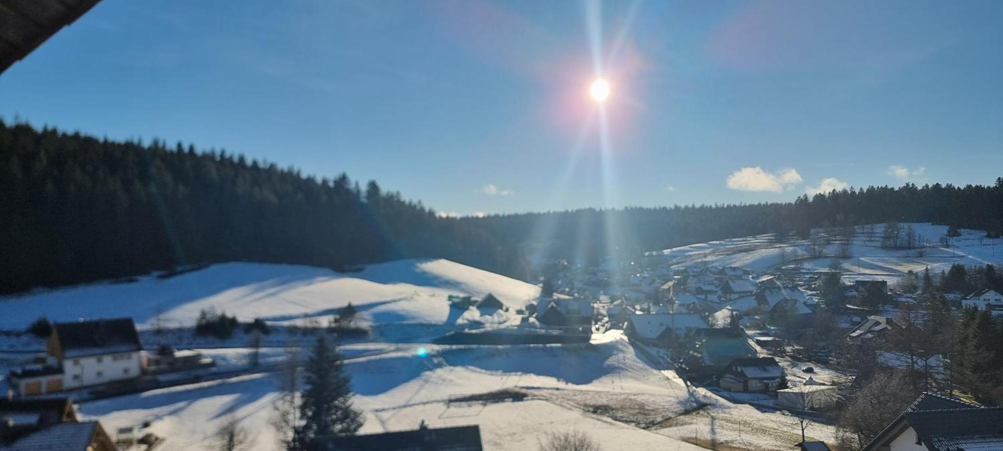 Auerhahn Bed And Breakfast - Black Forest - Waldhotel Eisenbach  Dış mekan fotoğraf