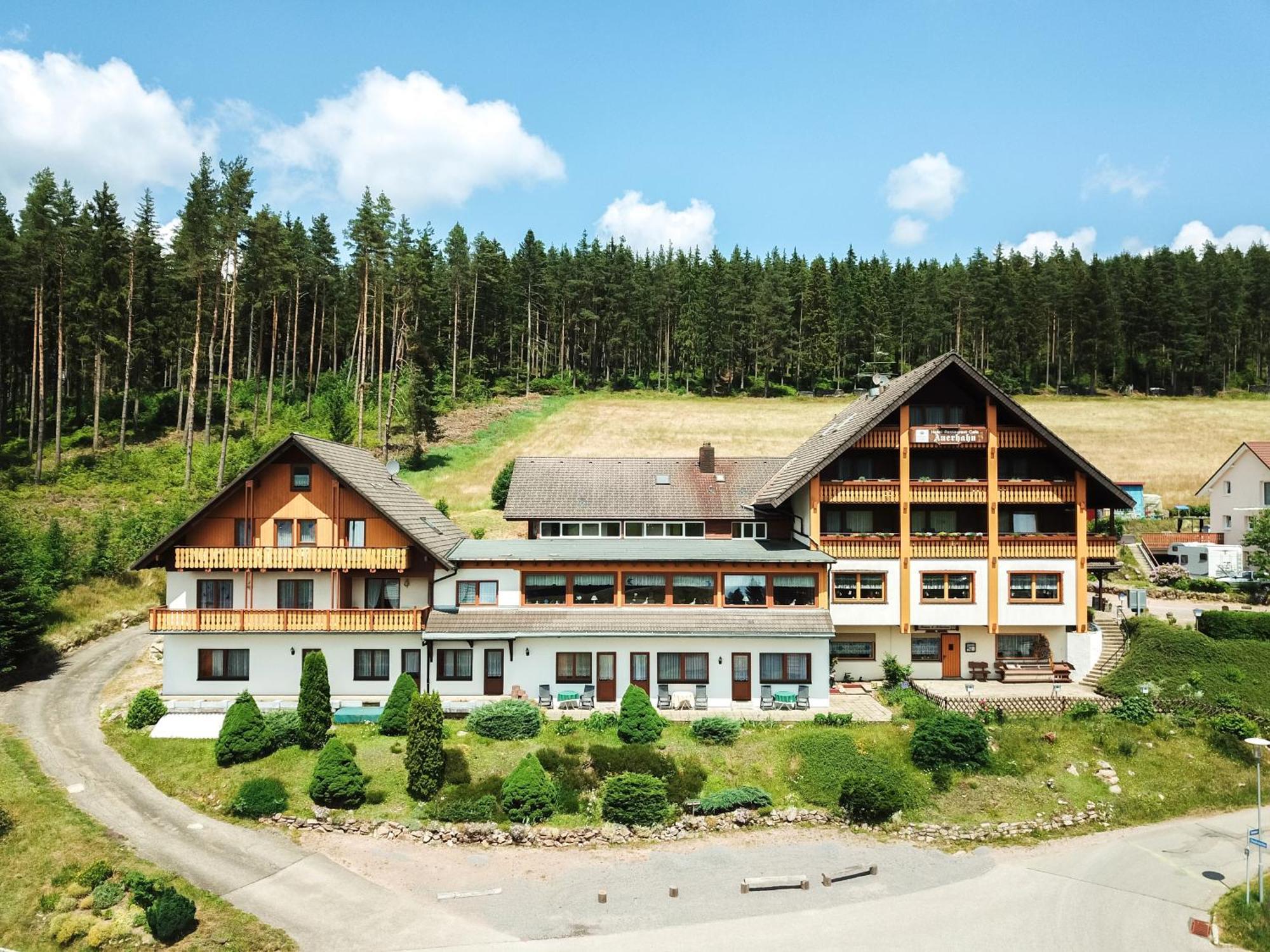 Auerhahn Bed And Breakfast - Black Forest - Waldhotel Eisenbach  Dış mekan fotoğraf