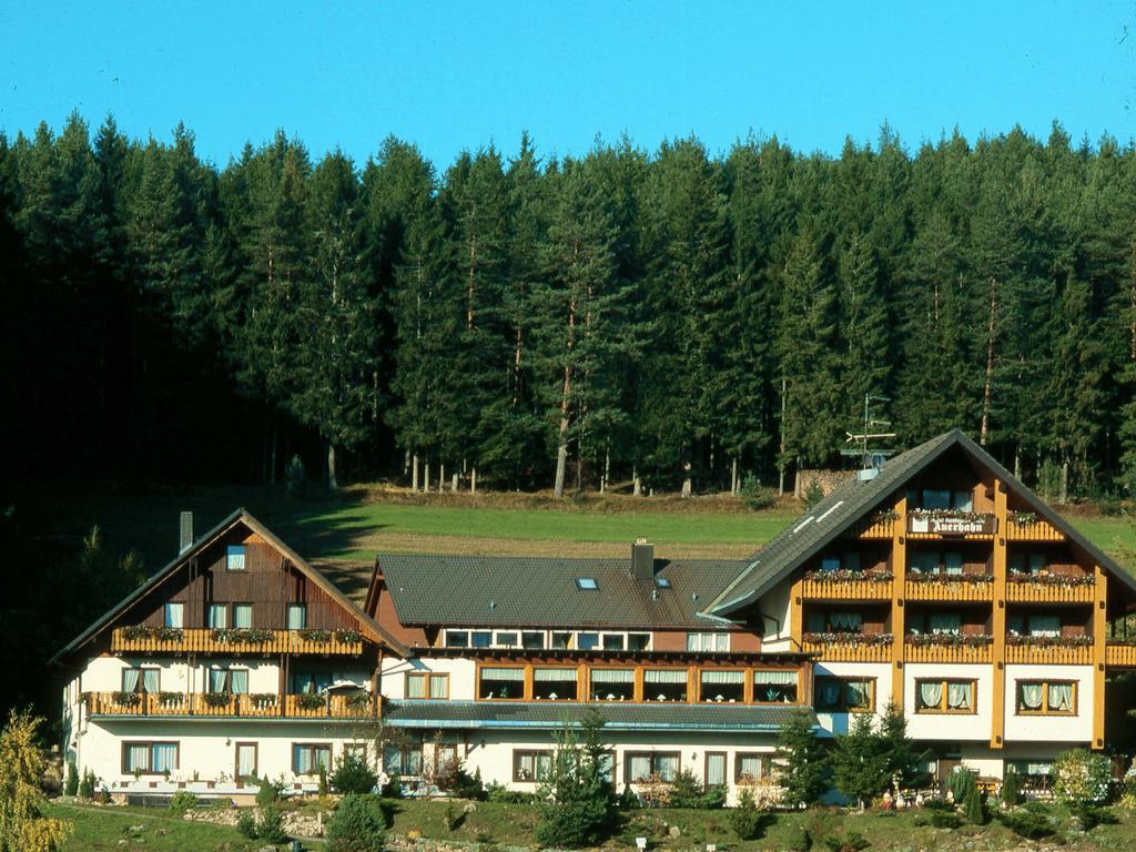 Auerhahn Bed And Breakfast - Black Forest - Waldhotel Eisenbach  Dış mekan fotoğraf