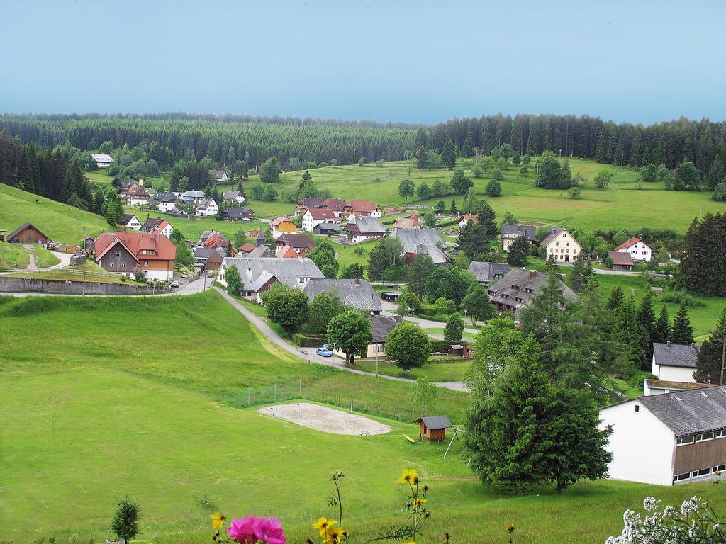 Auerhahn Bed And Breakfast - Black Forest - Waldhotel Eisenbach  Dış mekan fotoğraf